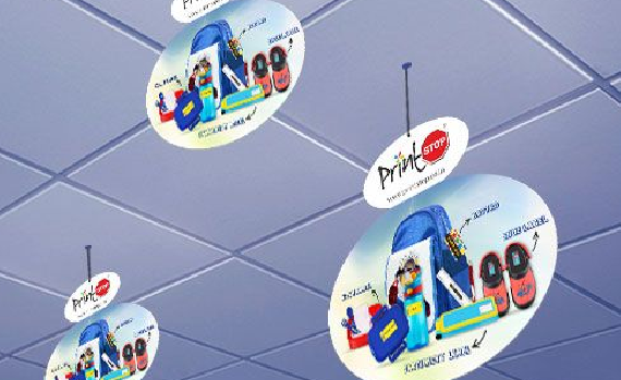 Printed brochure in use